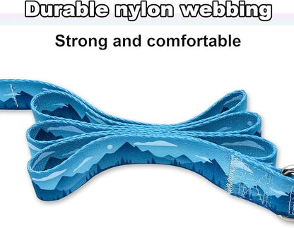 5ft Nylon Dog Leash with Soft Neoprene Handle for Small Dogs, Blue Sunset