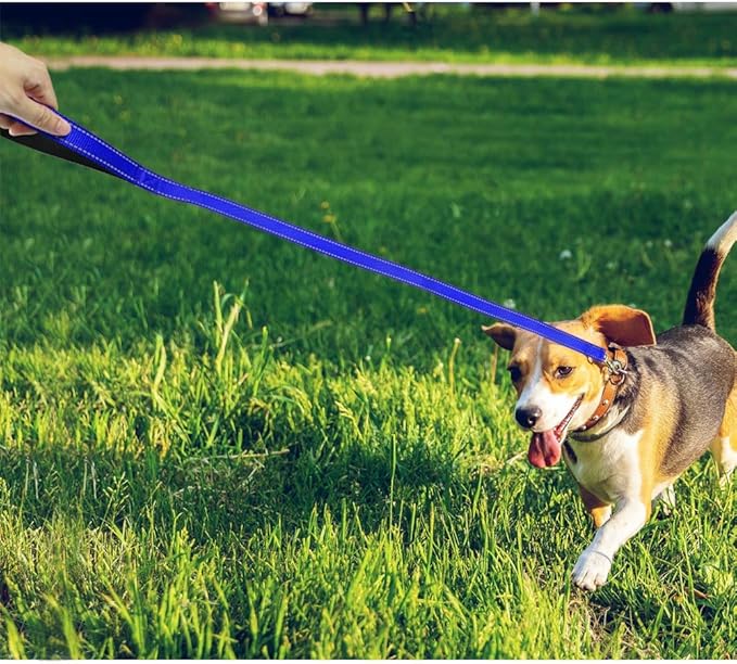 FunTags 4FT Reflective Dog Leash with Soft Padded Handle for Training,Walking Lead for Medium & Small Dogs,3/4 Inch Wide,Royal Blue
