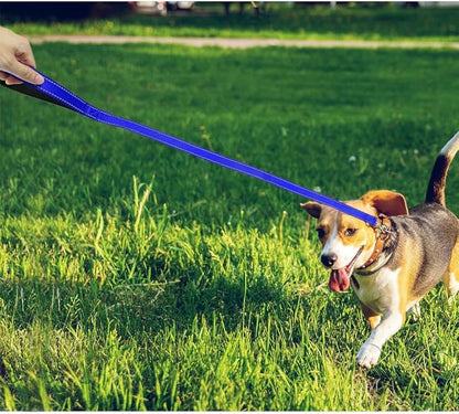 FunTags 4FT Reflective Dog Leash with Soft Padded Handle for Training,Walking Lead for Medium & Small Dogs,3/4 Inch Wide,Royal Blue