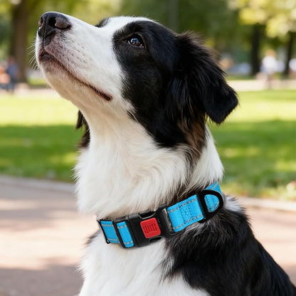 Taglory Reflective Dog Collar with Safety Locking Buckle, Soft Neoprene Padded Dog Collar for Medium Dogs, Metal D-Ring, Adjustable Nylon Neck Strap for Daily Walking, Training & Running, SkyBlue, M