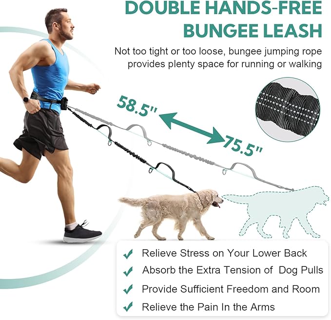 Hands Free Dog Leash, Retractable Bungee with Double Padded Handles, Waist Leash for Dog Walking for Medium & Large Dog Walking Accessories Mint-Green