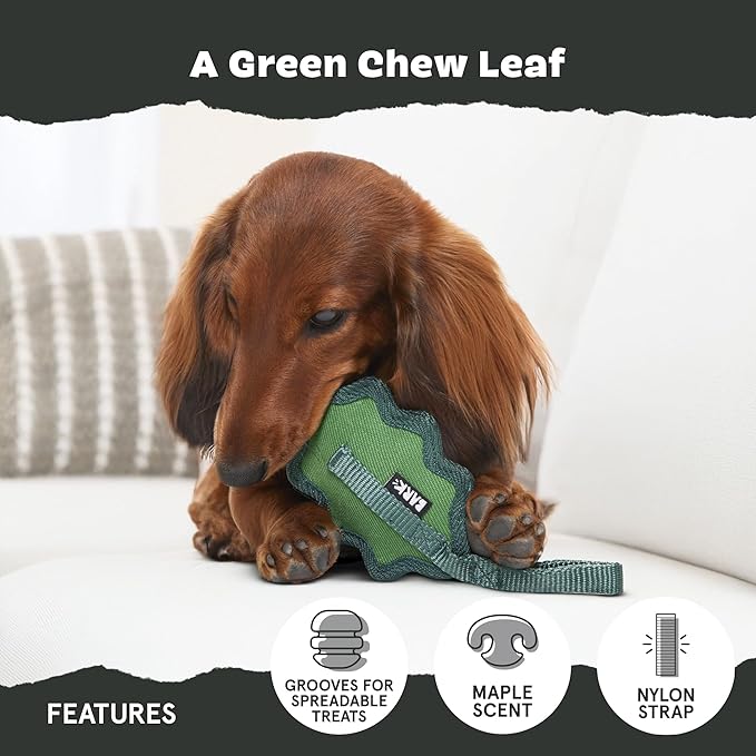 Barkbox Green Chew Leaf Dog Toy for Small Dogs – 2-in-1 Design with Mixed Textures and Surprises, Perfect for Tough Chewing and Playful Pups