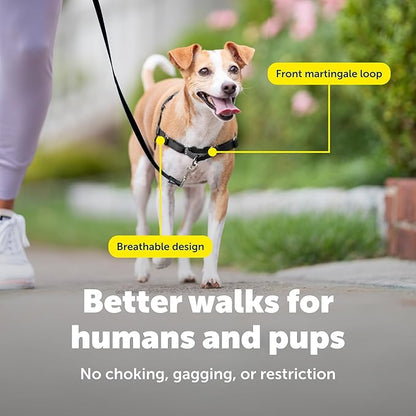 PetSafe Easy Walk Harness for Dogs - Pull-Free Walks - Patented Martingale Loop Design - Front Chest Leash Attachment - Comfort Straps - Breathable Harness Design - Small, Red/Black