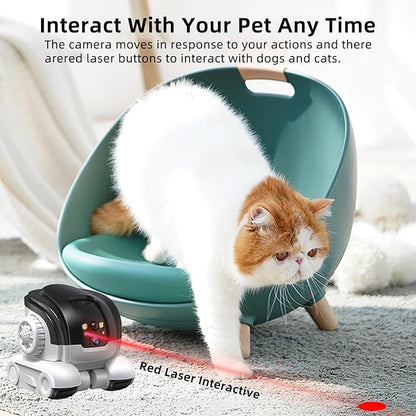 AEZ Robot Camera on Wheels 1080P Dual Lens,Security Indoor Camera with 2-Way Talk,Blinky Bot with Night Vision, Distance Bot 5200mAh Battery & App Control for Cats/Dogs/Baby/Elderly (SD/Cloud Storage)