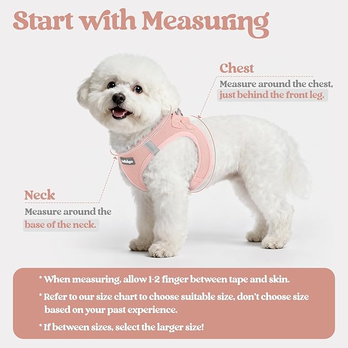 rabbitgoo Dog Harness Small Sized and Leash Set, Step in Soft Light Puppy Vest, Breathable Mesh Pet Harness, Reflective for Outdoor Safe Walking, Pink XXL