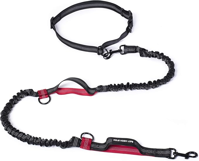 Mile High Life Hands Free Waist Leash for Dog Running Training and Jogging, Adjustable Belt with Double Handle, Reflective Bungee for Medium Large Dogs (Red, 7FT)