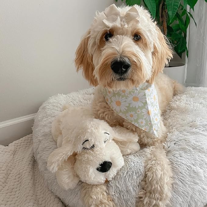Snuggle Puppy Heartbeat Dog Toy for Puppies, Real-Feel Heartbeat, Calming Sleep Aid and Crate Training Comfort Toy with Heat Pack, Cream Plush Design