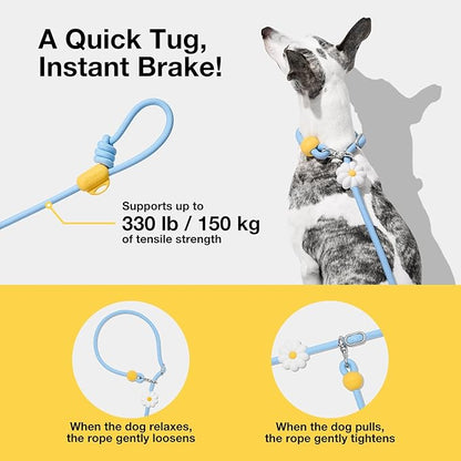 VETRESKA Hands-Free Dog Leash, 8FT Adjustable Rope Leash for Medium Large Dogs, Waist/Crossbody Slip Lead Leashes for Walking, No Pull Dog Leashes with Bag Dispenser, Clip, 3 in 1 Walk Kit (Daisy)