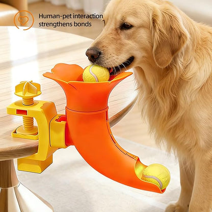 Diydeg Automatic Dog Ball Launcher, Interactive Automatic Ball Launcher Adjustable Height Distance Dog Thrower Pet Thrower Machine for Indoor Outdoor Play