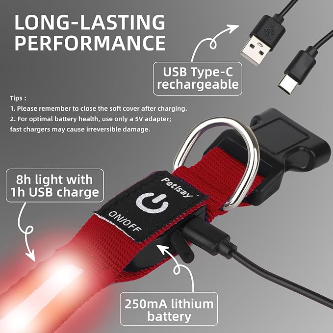 Super Bright LED Dog Collar - Fully Waterproof & Adjustable Glow Collar - USB-C Rechargeable for Night Walking, Safety - Flashing Lighted Collar for Dogs(Red,S)
