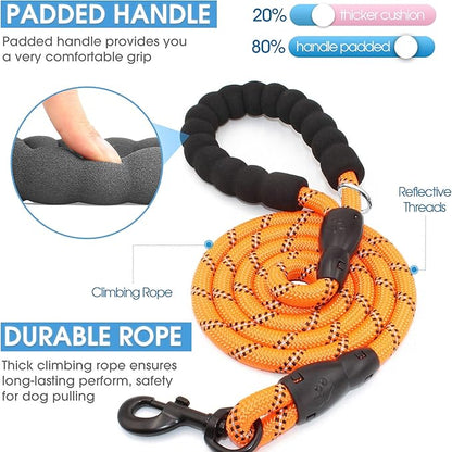 BAAPET 2/4/5/6 FT Dog Leash with Comfortable Padded Handle and Highly Reflective Threads for Small Medium and Large Dogs (6FT-1/2'', Orange)