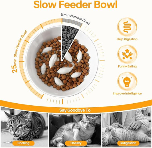 PETTOM Slow Feeder Cat Bowl, 2 Pack Ceramic Raised Tilted Cat Slow Feeder Bowl Elevated Puzzle Anti Vomiting for Dry and Wet Food Whisker Friendly for Kitty Puppy, White