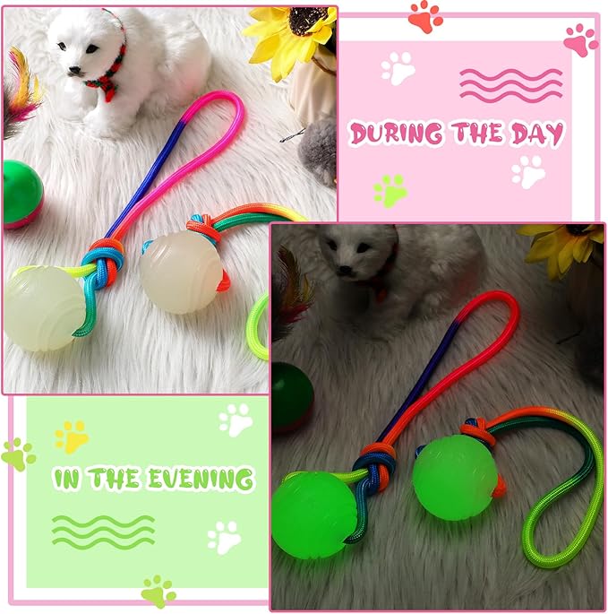 2 Pcs Dog Training Ball on Rope Glow in The Dark Ball 2.36 Inch Toys with 12 Inch Rope for Small Large Medium Dogs Glowing Interactive Pull Reward Fetch Exercise Toy