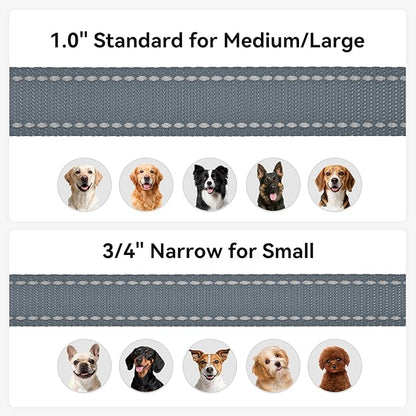 Joytale Dog Leash, 4 FT Double-Sided Reflective, Padded Handle Nylon Heavy Duty Leashes for Medium & Large Dogs Walking, Grey