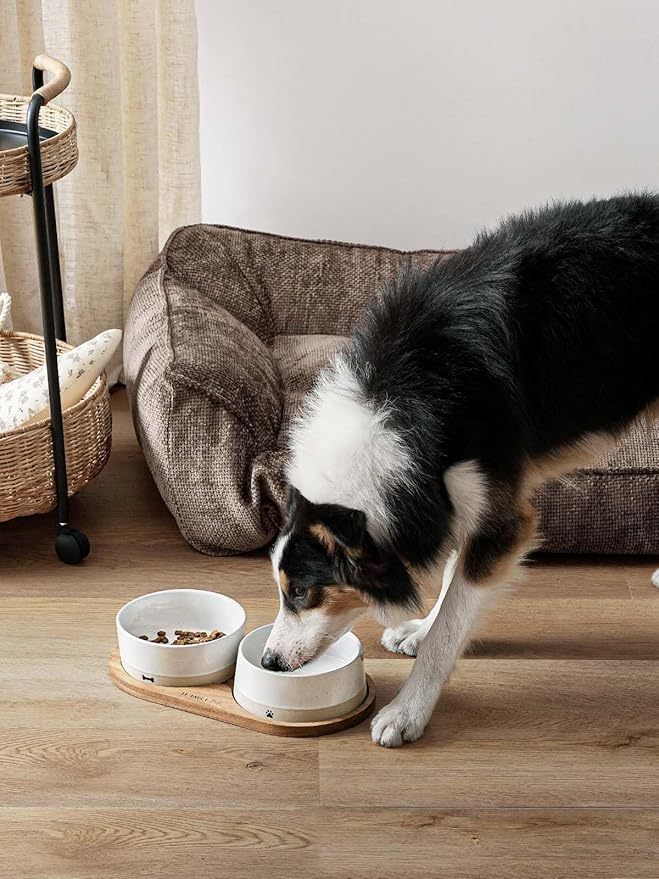 LE TAUCI PET Ceramic Dog Bowls for Medium Small Dogs - 3.2 Cup Medium Dog Food and Water Bowls with Acacia Wood Tray, Dual Food and Water Bowls with Weighted Non-Slip Base