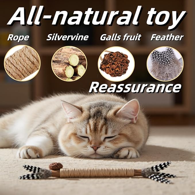 Cat Toys 12PCS Catnip Toy for Indoor Kitten Toys Cat Chew Stick for Dental Cleaning Teeth Cat Silvervine Matatabi Rope Treat Kitty Feather Snack for for Kick Molar Scratch Self Play