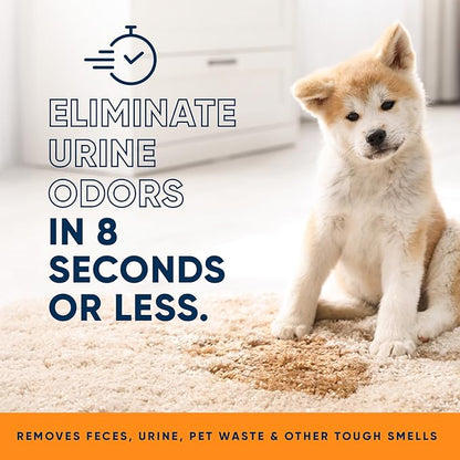 Orange Odor Eliminator | Pet Odor Deodorizer for Strong Odor | Enzyme Stain Cleaner for Cats, Dogs, and Pets | Great for Carpets, Furniture, Dog Kennels, and More (128 Fl Oz)
