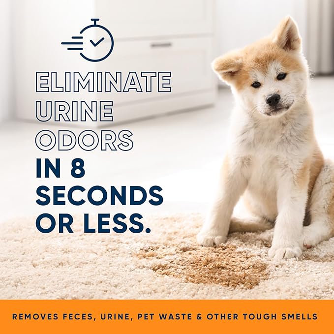 Orange Odor Eliminator | Pet Odor Deodorizer for Strong Odor | Enzyme Stain Cleaner for Cats, Dogs, and Pets | Great for Carpets, Furniture, Dog Kennels, and More (32 Fl Oz)