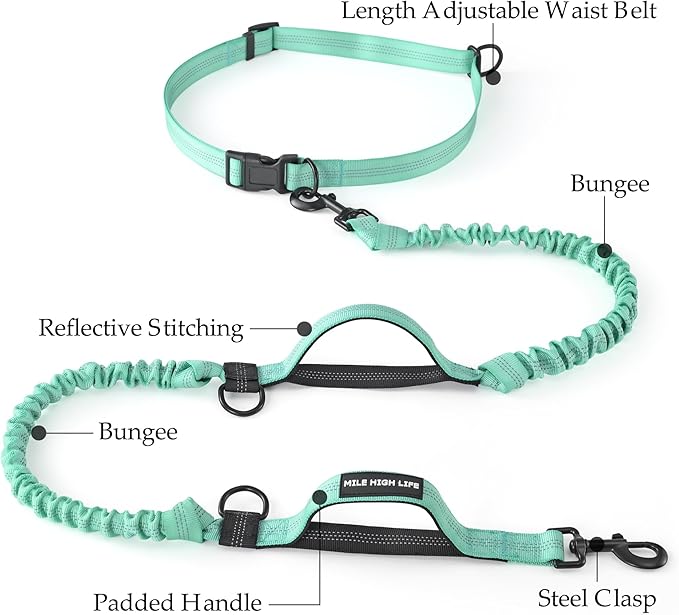 Mile High Life Hands Free Leash, Waist Leash for Dog Running Training and Jogging, Adjustable Belt with Double Padded Handle, Reflective Bungee for Medium Large Dogs (Teal, 7FT)