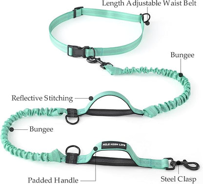 Mile High Life Hands Free Leash, Waist Leash for Dog Running Training and Jogging, Adjustable Belt with Double Padded Handle, Reflective Bungee for Medium Large Dogs (Teal, 7FT)