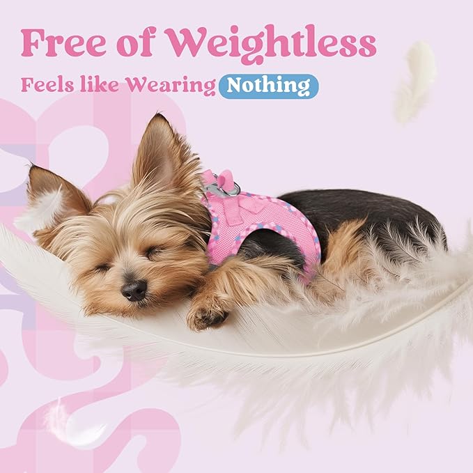 rabbitgoo Small Dog Harness, Step-in Soft Mesh Puppy Vest with Safety Buckle, Breathable Reflective Pet Harness for Small Sized Dogs, Pink & Plaid Trim XS