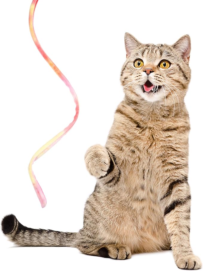 Sumind 3 Pieces Jungle Cat Wand Cat Teaser Charmer Interactive Fun Toys Wand Kitten Kitty Playing Toy, 3 Styles(Charming Color)