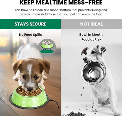 Iconic Pet Color Splash Stripe Non-Skid Stainless Steel Dog & Cat Bowl - Green, 8 Oz, 1 Cup, Durable, Easy to Clean, Anti-Slip Feeding Dish for Food & Water, Stylish Design for Dogs and Cats