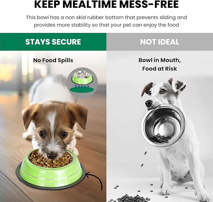 Iconic Pet 1 Cup/8 Oz Elegant Stainless Steel Color Splash Food/Water Bowl with Non Skid, Noise Free, Removable Rubber Ring - Dog/ Cat Feeding Bowl In color shade, Dishwasher Safe - Green, 2 Bowls