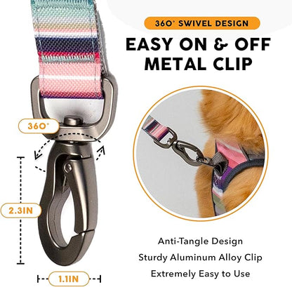 Embark Adventure Dog Leash – Strong & Sturdy for Small, Medium & Large Dogs (Baja, 5 Ft)