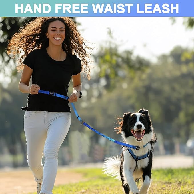 Heavy Duty Hands Free Dog Leash with Quick Release Carabiner and Adjustable No Pull Bungee Dog Running Waist Leash，for Walking and Training with Car Seat Belt 4-6FT (Aquamarine)