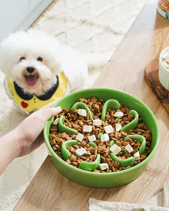 LE TAUCI Dog Slow Feeder Bowl,1.5 Cups Ceramic Maze Pattern for Large Breed,Green and Orange