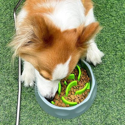 Oak & Tail Slow Feeder Dog Bowl with Removable Silicone Insert, 2-in-1 Pet Food Water Bowl, Anti-Gulping Design for Healthy Eating, Gray, Green