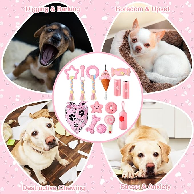 14 Pack Puppy Teething Toys, Chew Toys for Small Dogs Puppy Toys Pink Dog Stuff with Soft Rubber Balls and Colorful Ropes for Small Breed Interactive Accessories(Pink)
