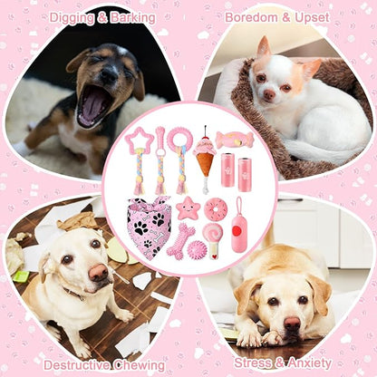 14 Pack Puppy Teething Toys, Chew Toys for Small Dogs Puppy Toys Pink Dog Stuff with Soft Rubber Balls and Colorful Ropes for Small Breed Interactive Accessories(Pink)