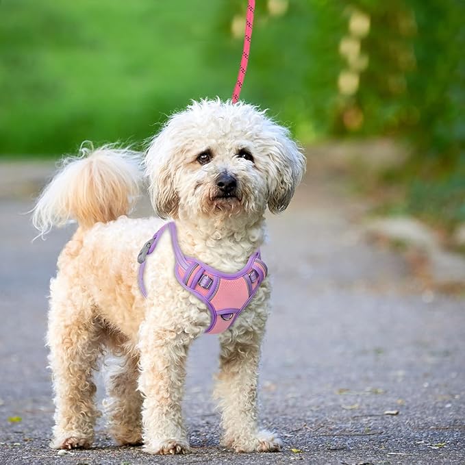 BARKBAY No Pull Dog Harness Large Reflective Dog Harness with Front Clip and Easy Control Handle for Walking Training Running with ID tag Pocket(Baby Pink & Violet Purple,XS)
