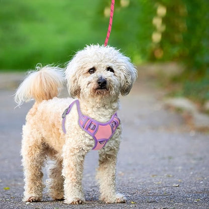 BARKBAY No Pull Dog Harness Large Reflective Dog Harness with Front Clip and Easy Control Handle for Walking Training Running with ID tag Pocket(Baby Pink & Violet Purple,S)
