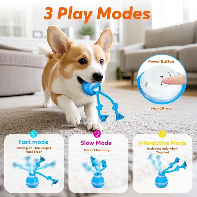 Interactive Smart Ball Dog Toy with Rope, Blue