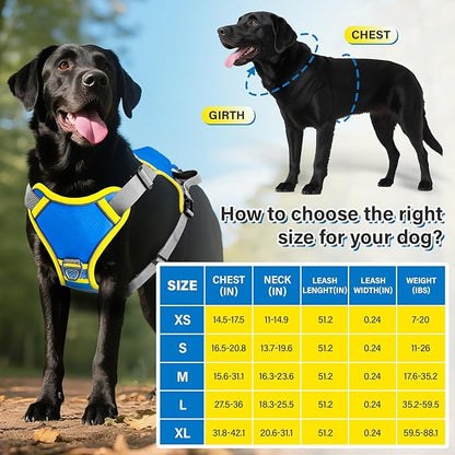 No Pull Dog Harness, 2 in 1 Retractable Harness with Auto-Lock, Reflective Breathable Mesh and Handle, Adjustable Leash Set for Small, Medium,Large Dogs,Cats (Color 2, M)