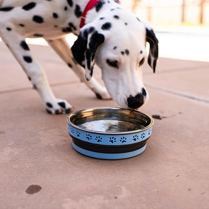 Loving Pets Corsa Dog Bowls- Stainless Steel Dog & Cat Bowls - Spill Proof Dog Food Bowl, Cat Bowl, Puppy Essentials & Pet Supplies Great for Home & Travel (Large 35-65 lbs, Rapid Blue)