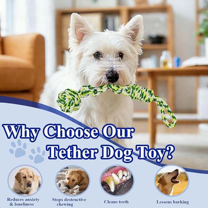 Indoor Suction Cup Dog Toy with 3 Ropes - Adjustable Height Tug Toy for Small to Large Dogs, Interactive Boredom Relief for Solo Play on Tile Floors