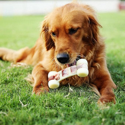 Tikaton Hammerbone Durable Dog Chew Toy for Aggressive Chewers, Beef Flavor Dog Toy, Large