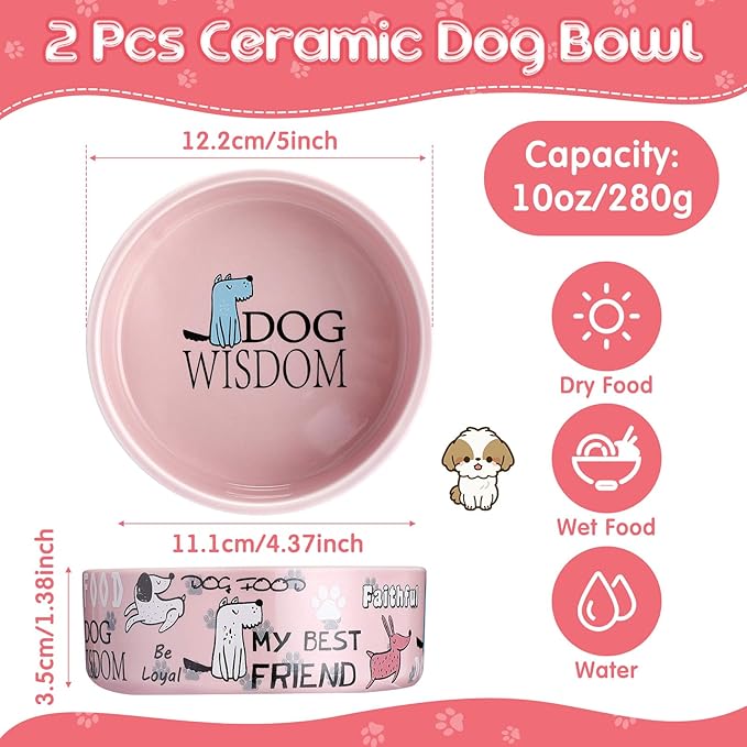 Maxcheck 2 Pcs 5 Inch Ceramic Dog Bowls Dishes for Small Dogs Cute Cartoon Pattern Puppy Cat Bowls Heavy Food Water Dishes for Pets Feeding Travel, Dishwasher Safe Microwave Safe(Pink)