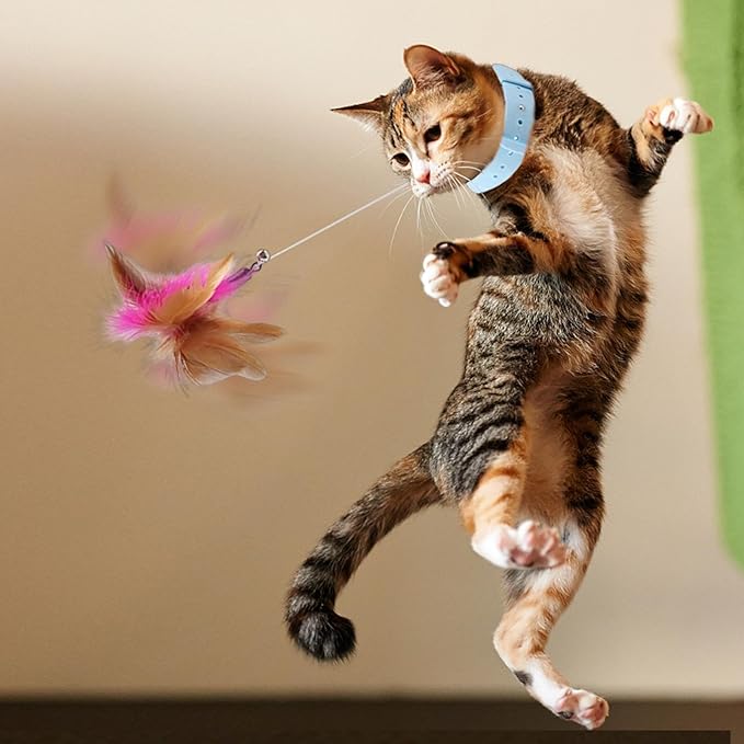 Interactive Wand Toy - Cat Teaser Plaything, Suction Cup Feather Wire Teaser | Flexible Cat Wand with Colorful Feathers for Active Kitten | Steel Wire Cat Toy for Exercising and Chasing Fun