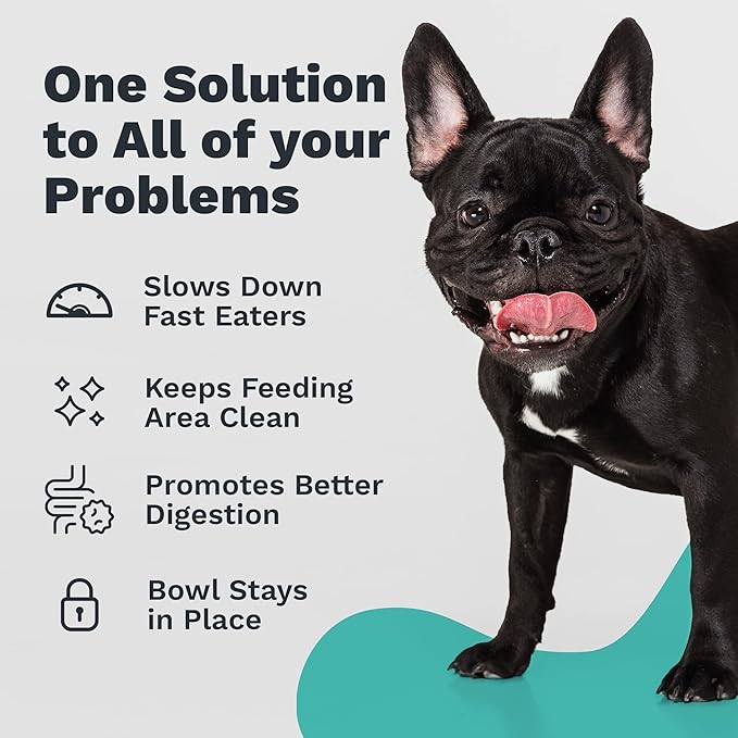 Enhanced Pet Bowl, Stainless Steel Slanted Dog Bowl with Raised Ridge for Flat-Faced Dog Breeds or Cats, Food-Grade Non-Slip No Spill Bowl for Dogs, Less Mess, Less Gas, and Better Digestion (Small)