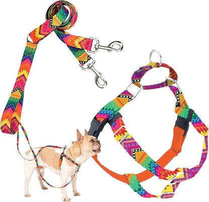 2 Hounds Design - Freedom No-Pull Harness & Training Leash in Multi-Color | Dual Leash Loops, No Pulling on Walks | Lined to Prevent Chaffing | for Small Sized Dogs (Size S, Chest 20”- 24”)