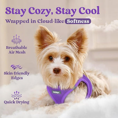 rabbitgoo Small Dog Harness, Step-in Soft Mesh Puppy Vest with Safety Buckle, Breathable Reflective Pet Harness for Small Sized Dogs, Purple XS