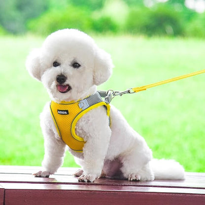 AIITLE Small Harness for Puppy with A Leash - Dog Vest Harness with Super Breathable Mesh, Reflective No-Pull Pet Harness for Outdoor Walking, Running for Small Dogs, Cats Yellow XXS