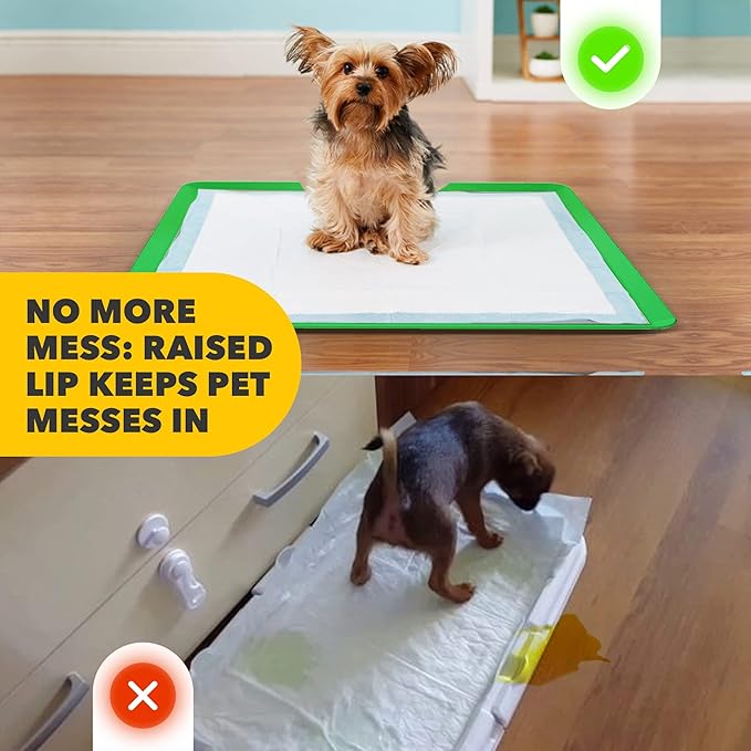 Skywin TidyFriend Dog Pee Pad Holder Tray - Fits Up to 24” x 24” Pee Pad Holder for Dogs - Stable Grip, Raised Edges, Quick-Wipe Silicone Surface Dog Pad Holder for Indoor Flooring Protection (Green)