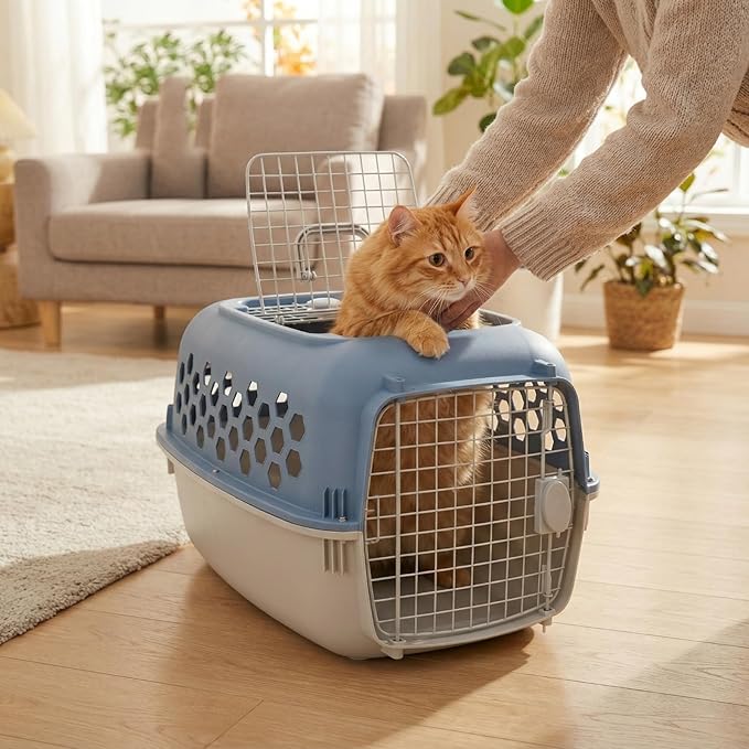 Hard-Sided Pet Carrier for Dogs and Cats | 24-Inch Top-Load Travel Kennel with Double Door Entry | Heavy-Duty Plastic Crate for Vet Visits & House Training, Up to 30 lbs Capacity,Blue/Gray
