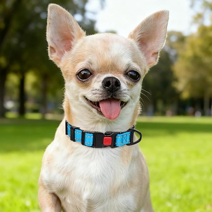 Taglory Reflective Dog Collar with Safety Locking Buckle, Soft Neoprene Padded Dog Collar for Puppy Dogs, Metal D-Ring, Adjustable Nylon Neck Strap for Daily Walking, Training & Running, Sky Blue, XS